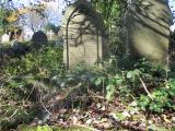 image of grave number 679735